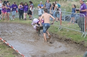 Photo CMP_DSC_0262.JPG